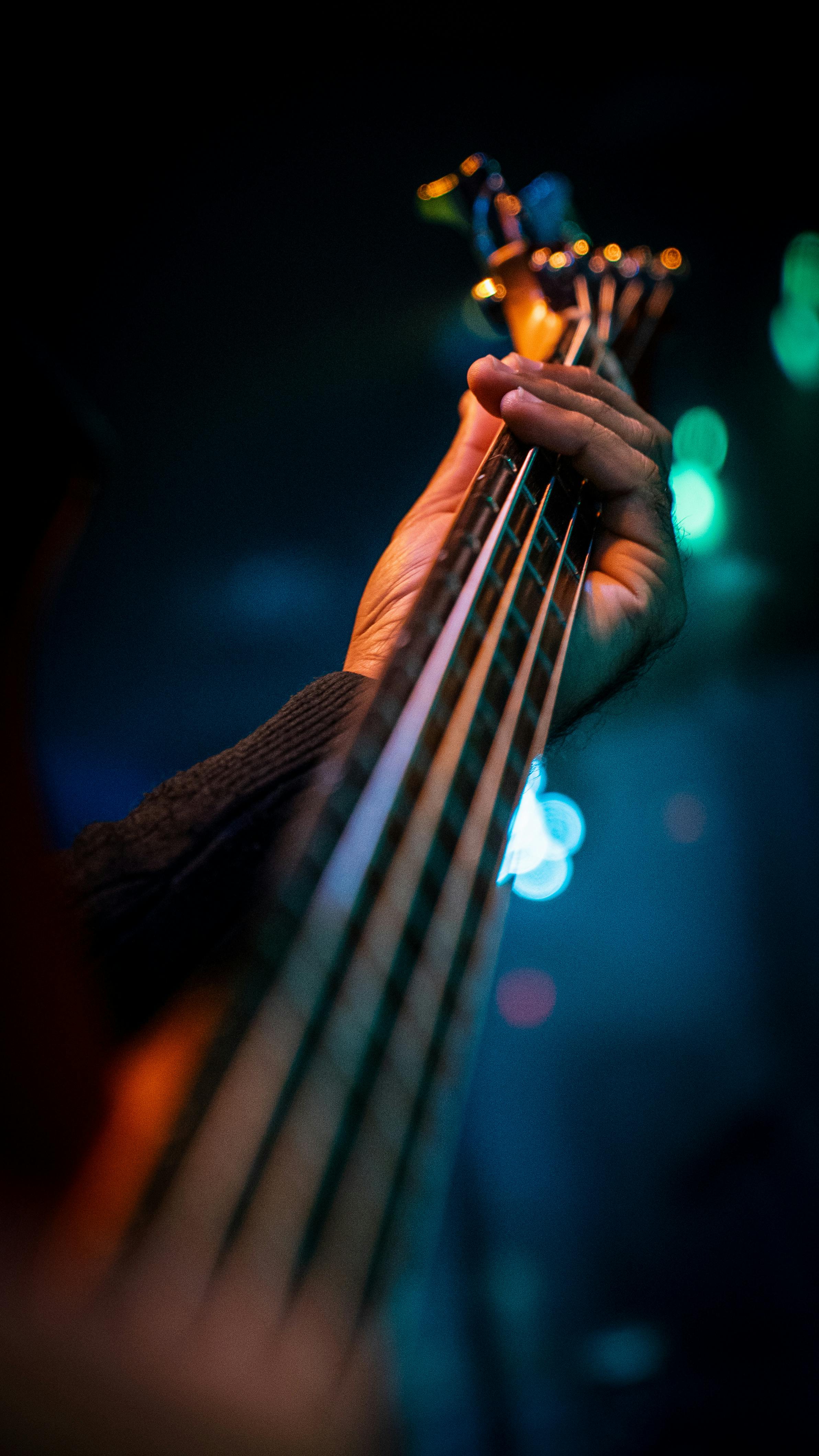Bass guitar close-up