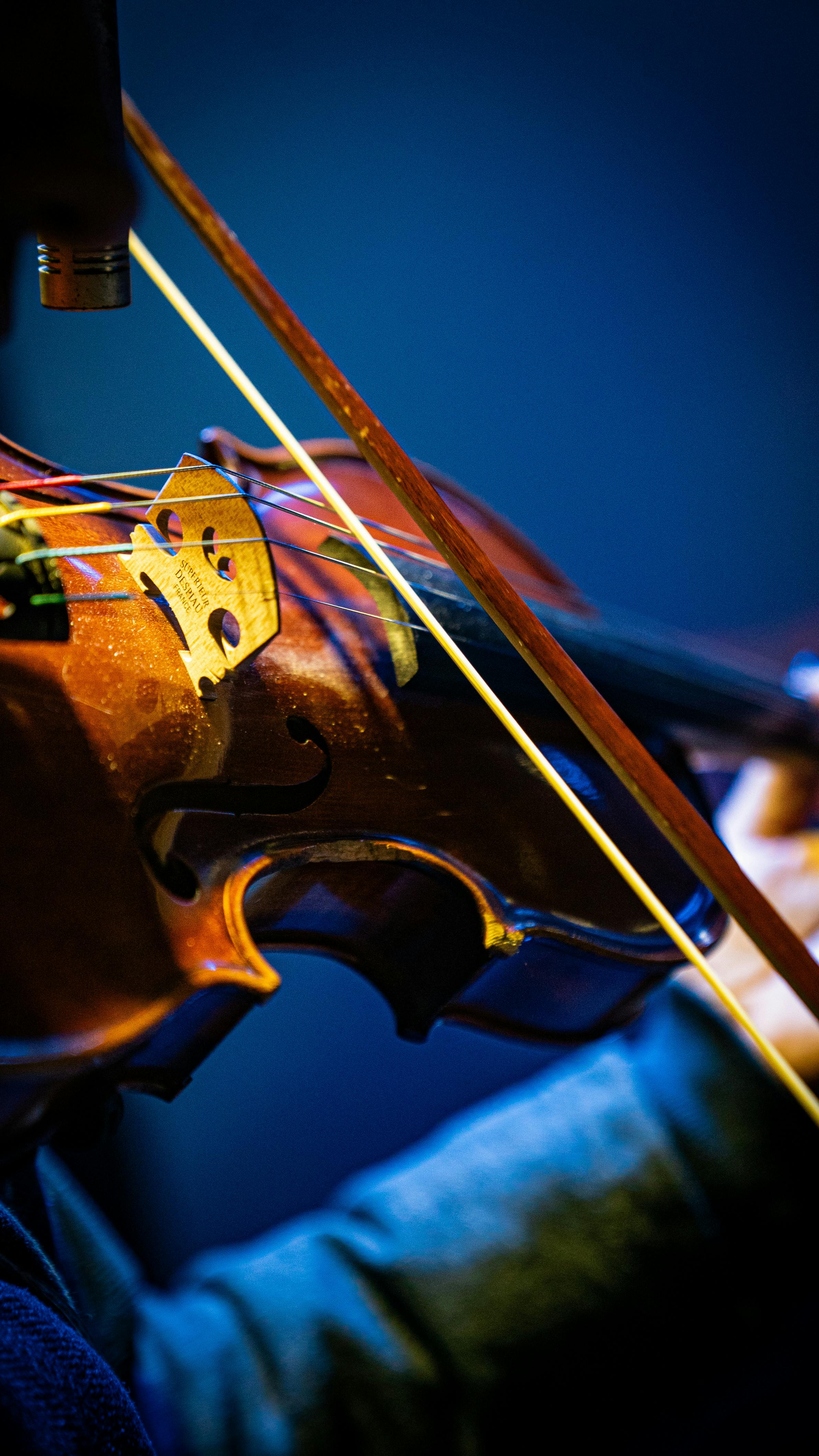Violin close-up
